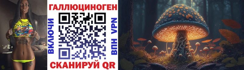 Псилоцибиновые грибы мицелий  где продают   Борзя 